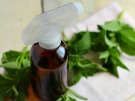Best Homemade Air Freshener for Diffusers or Sprays