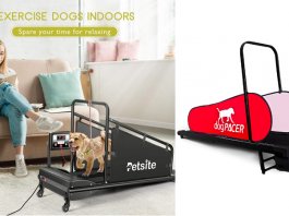 Review Best Dog Treadmills in 2021