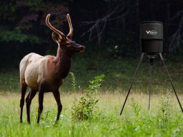 Best Deer Feeder Review & Revealed
